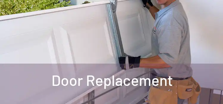  Door Replacement 